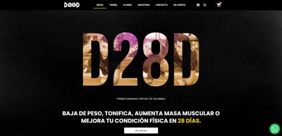 Quien creo la pagina de d28dgymvirtuall